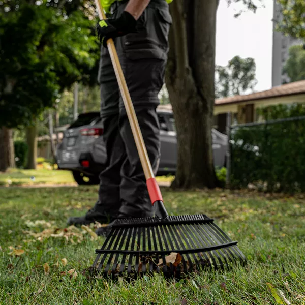 produkt mini