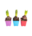 produkt mini