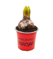 produkt mini
