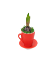 produkt mini