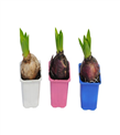 produkt mini