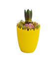 produkt mini