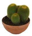 produkt mini