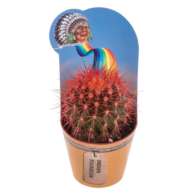 produkt mini