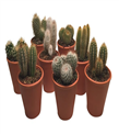 produkt mini