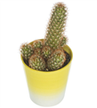 produkt mini