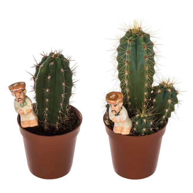 produkt mini