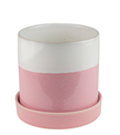 produkt mini