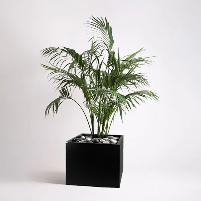 produkt mini