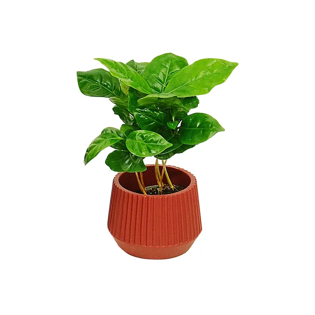 produkt mini