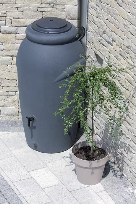 produkt mini