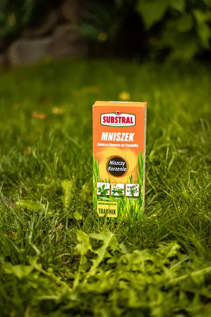 produkt mini