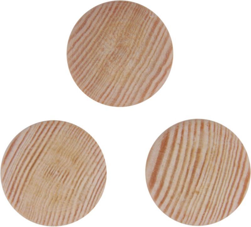 Kapsle maskujące Kornik fi 20 mm sosna 10 szt