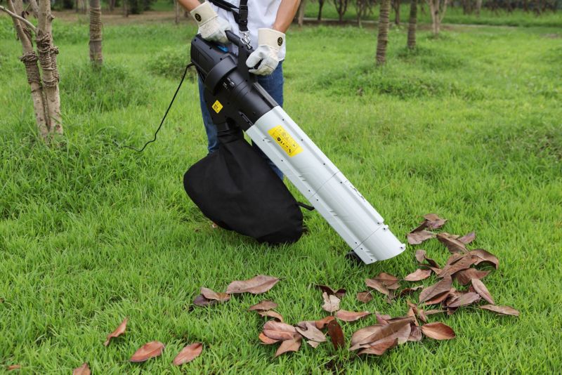 Odkurzacz dmuchawa MacAllister 2800 W
