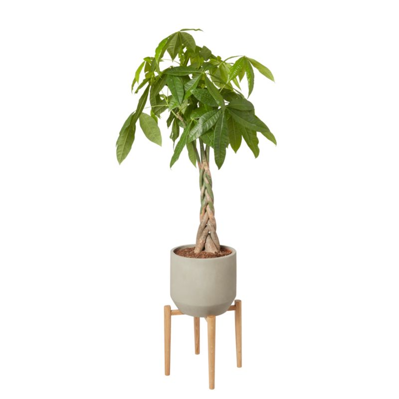 Stojak drewniany GoodHome 24 cm