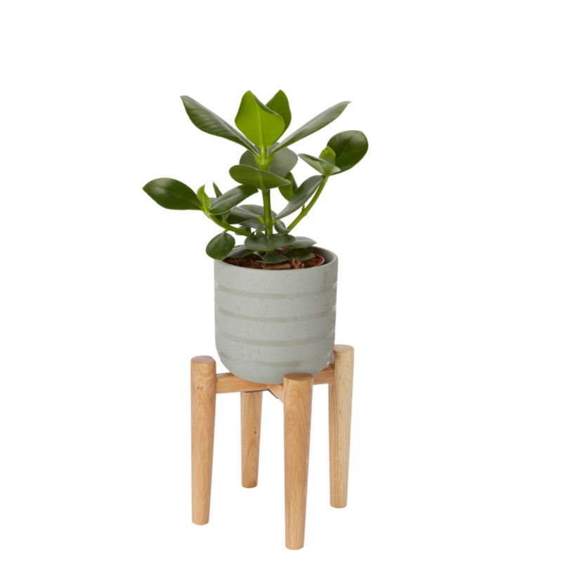 Stojak na doniczkę GoodHome drewniany 12 cm