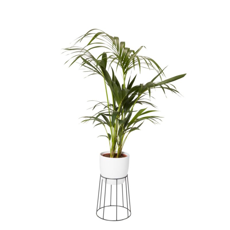 Stojak stalowy GoodHome 19 - 24 cm czarny