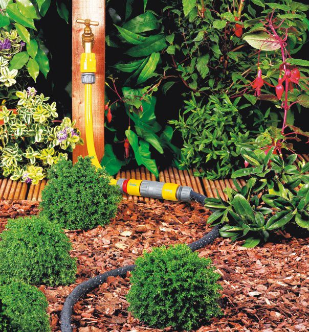 Wąż kroplujący Hozelock 10 m