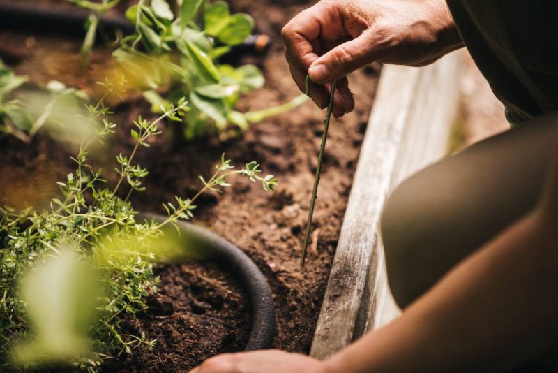 Wąż nawadniający Fiskars 15 m