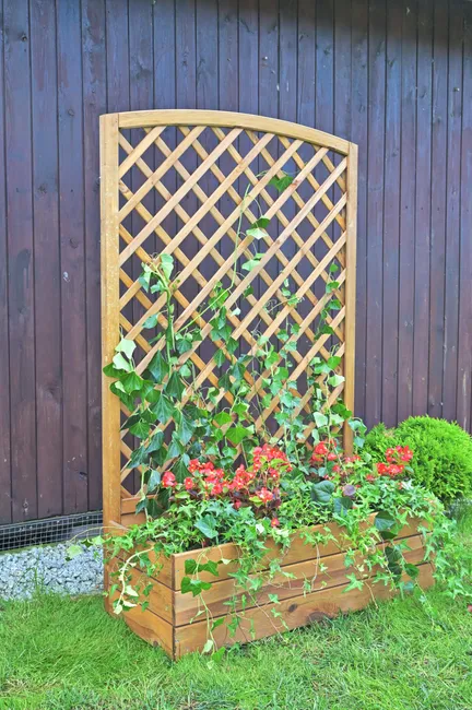 Donica drewniana z pergolą Nive 40x90x141.6 cm Naterial