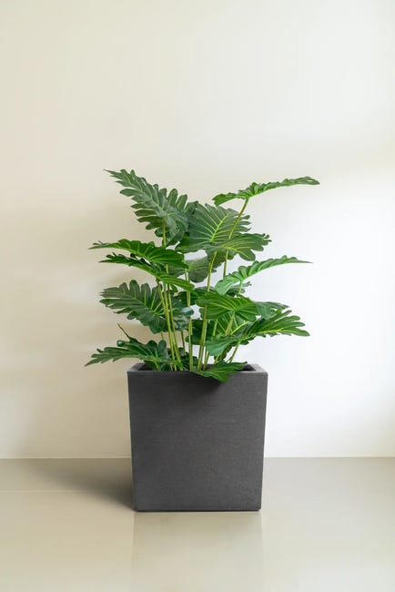 Donica gumowa Horizon 34x34x36 cm szara Tierra Verde