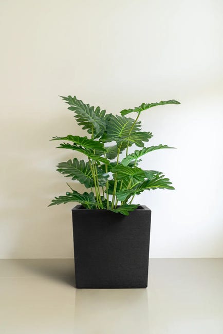 Donica gumowa Horizon Planter 36x36 cm czarna Tierra Verde