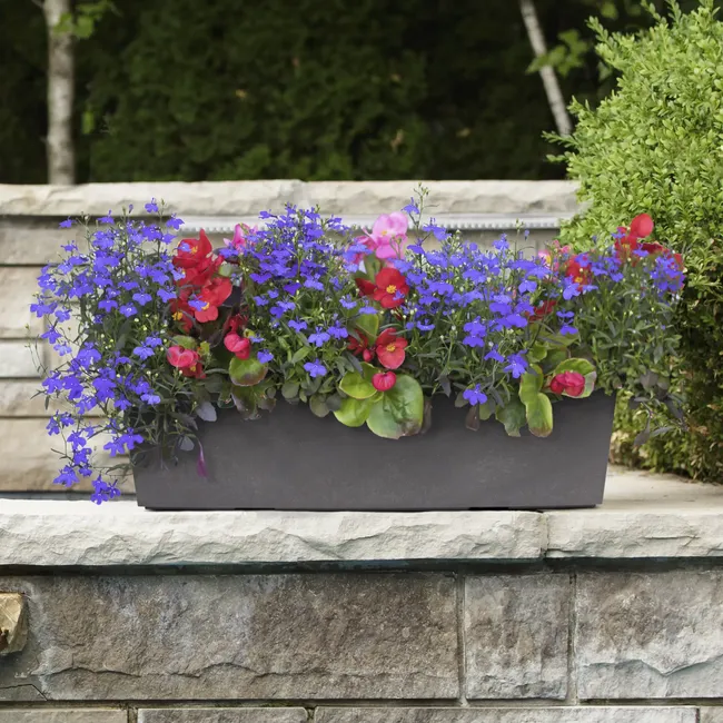 Donica gumowa Sonata 61x15 cm szara Tierra Verde