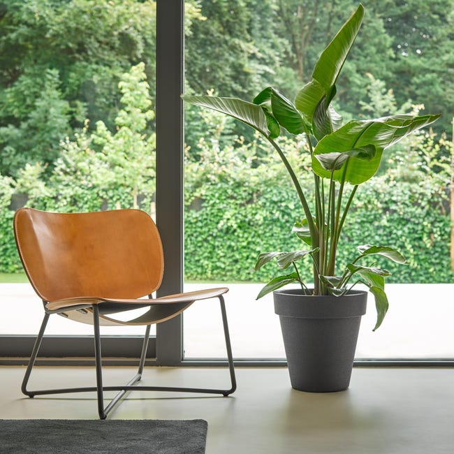 Donica wysoka IQ Cone Luxe śr.38 cm czarna Cermax