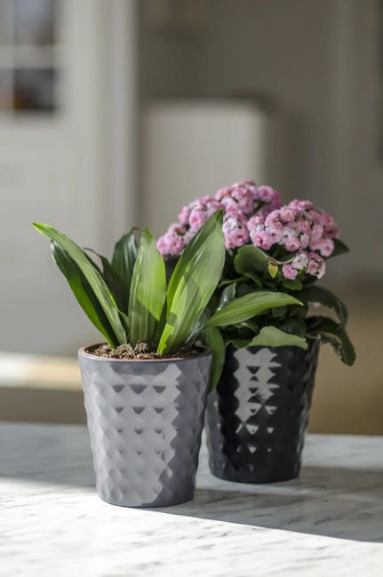 Doniczka gliniana Haven śr.13 cm ciemnoszara