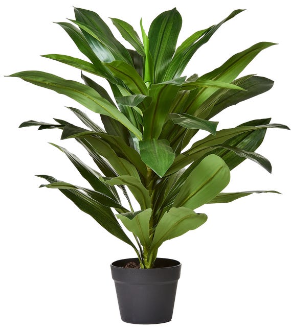 Dracena sztuczna 80cm w doniczce