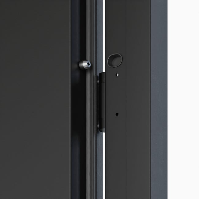 Drzwi zewnętrzne stalowe wejściowe Arya czarne 80 Prawe OK Doors Trendline