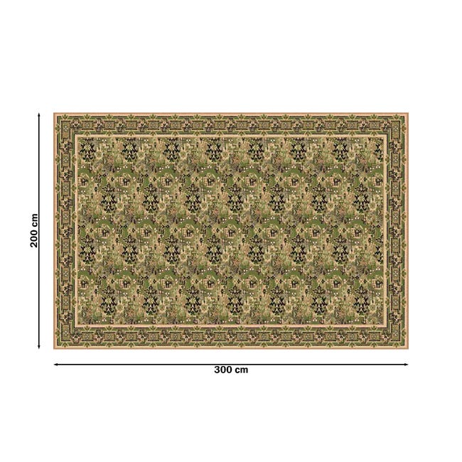 Dywan Standard Nazca zielony 200 x 300 cm