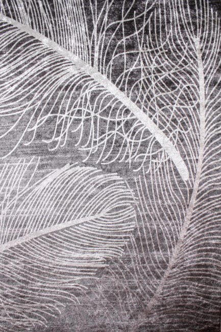 Dywan z frędzlami Sava Pióra beżowy 160 x 230 cm