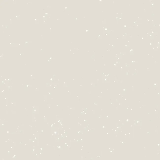 Efekt dekoracyjny Brillant Elegant 1 l Jeger