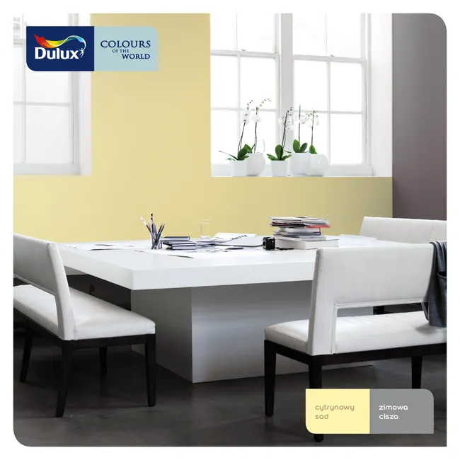 Farba Dulux Kolory świata Zimowa cisza 5 l