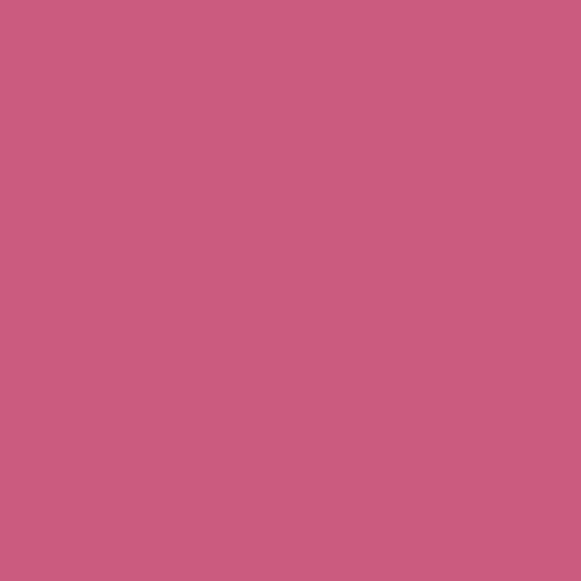 Farba wodna w sprayu AQUA 150 ml Crimson red PINTY PLUS