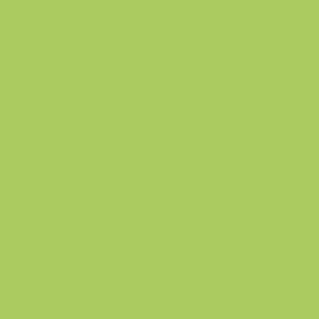 Farba wodna w sprayu AQUA 150 ml Green kiwi PINTY PLUS