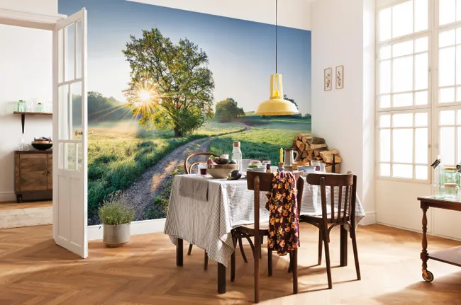 Fototapeta Łąka 368 x 254 cm