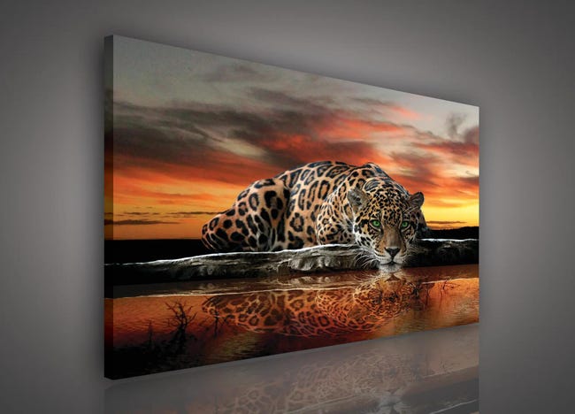 Kanwa Jaguar o zachodzie 100 x 75 cm