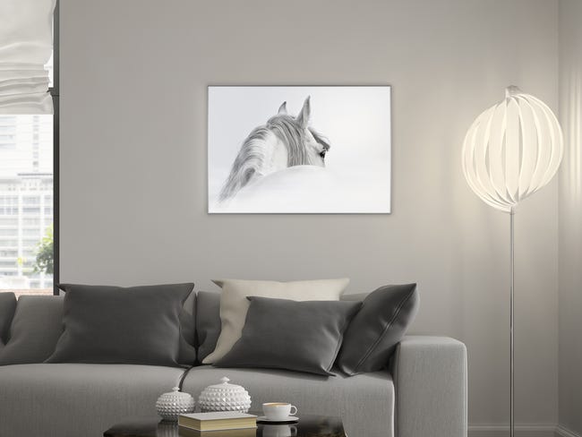 Kanwa Koń 100 x 70 cm