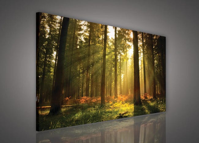 Kanwa Las o wschodzie 100 x 75 cm
