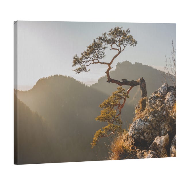 Kanwa Pieniny 100 x 70 cm