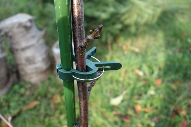 Klipsy ogrodowe duże 10szt. plastikowe