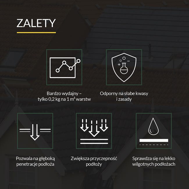 Masa gruntująca ABIZOL R 9 kg Tytan Professional