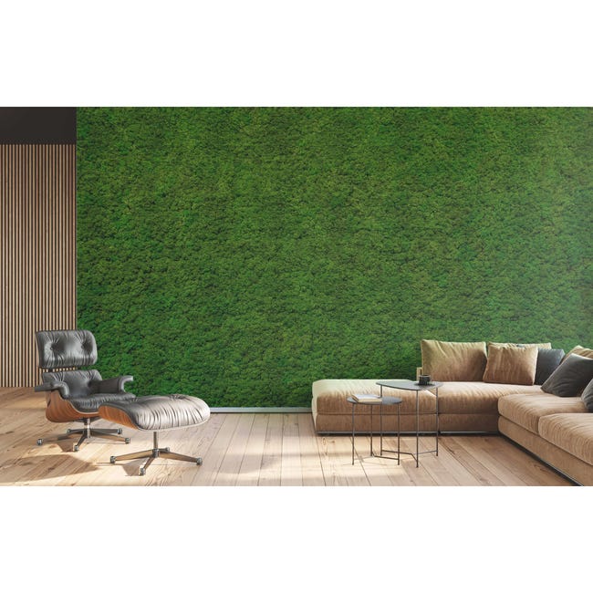 Mural Moss zielona ściana 500 x 280 cm delikatna struktura