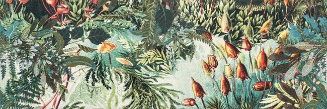 Obraz Wild Jungle 30x90 Saturn