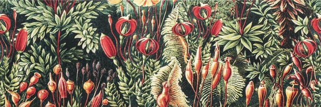 Obraz Wild Jungle 30x90 Saturn