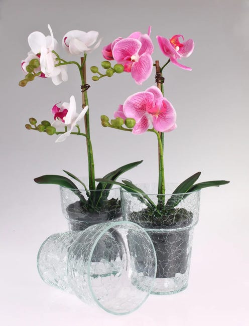Osłonka doniczki szklana Krakla 13.5cm bezbarwna Cermax