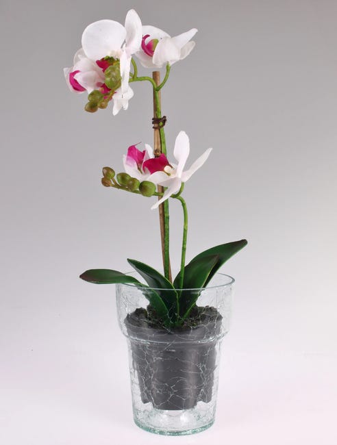 Osłonka doniczki szklana Krakla 13.5cm bezbarwna Cermax