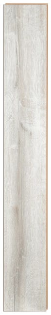 Panele podłogowe laminowane Dąb Costa AC5 8 mm Promo Flooring